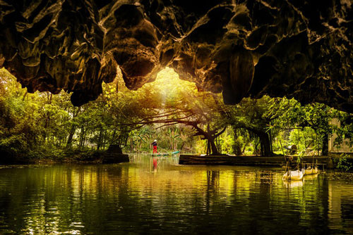 Tổ chức 