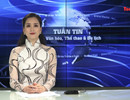 Bản tin truyền hình Văn hóa, Thể thao và Du lịch ra mắt độc giả 