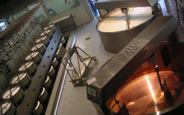 Chuyển đổi số ngành sữa: Làm sao để tối ưu hiệu quả và chi phí?