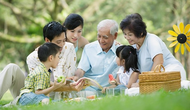 Tuyển chuyên gia tư vấn xây dựng Chương trình quốc gia phòng, chống bạo lực gia đình trong tình hình mới