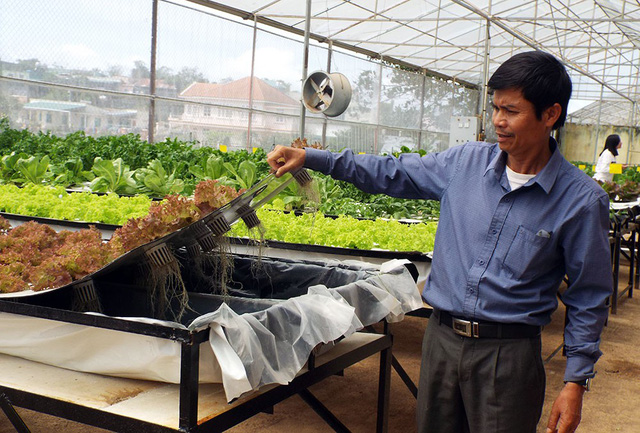 Nhiều chính sách ưu đãi tín dụng cho doanh nghiệp khoa học và công nghệ