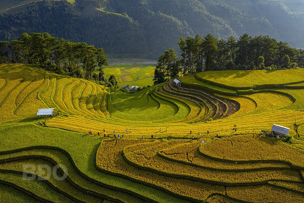 Nghệ sĩ Nhiếp ảnh Việt Nam đoạt Huy chương Vàng FIAP