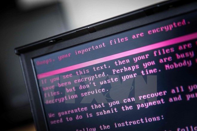 Europol kêu gọi tăng cường hành động chống tội phạm mạng